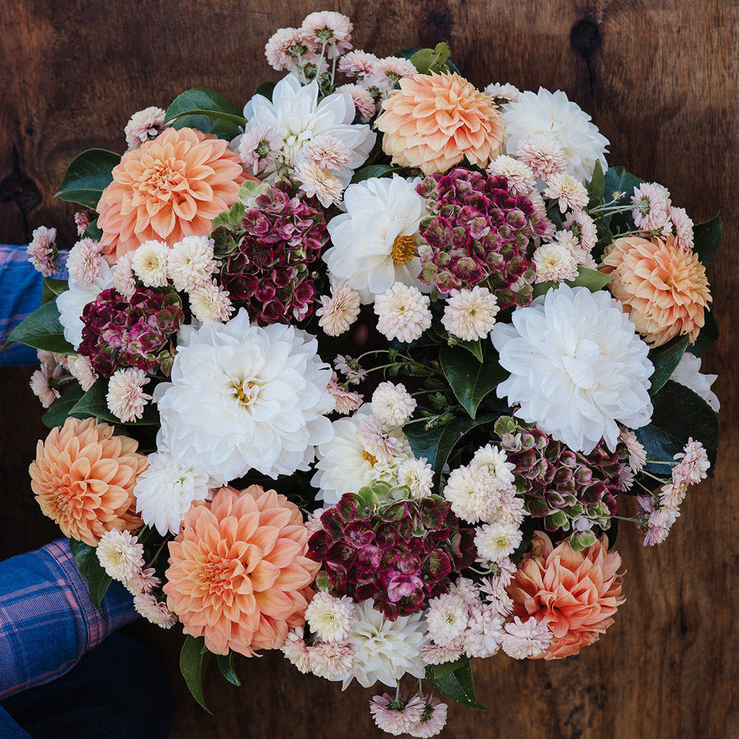 Seasonal Bouquet of dahlias & hydrangeas