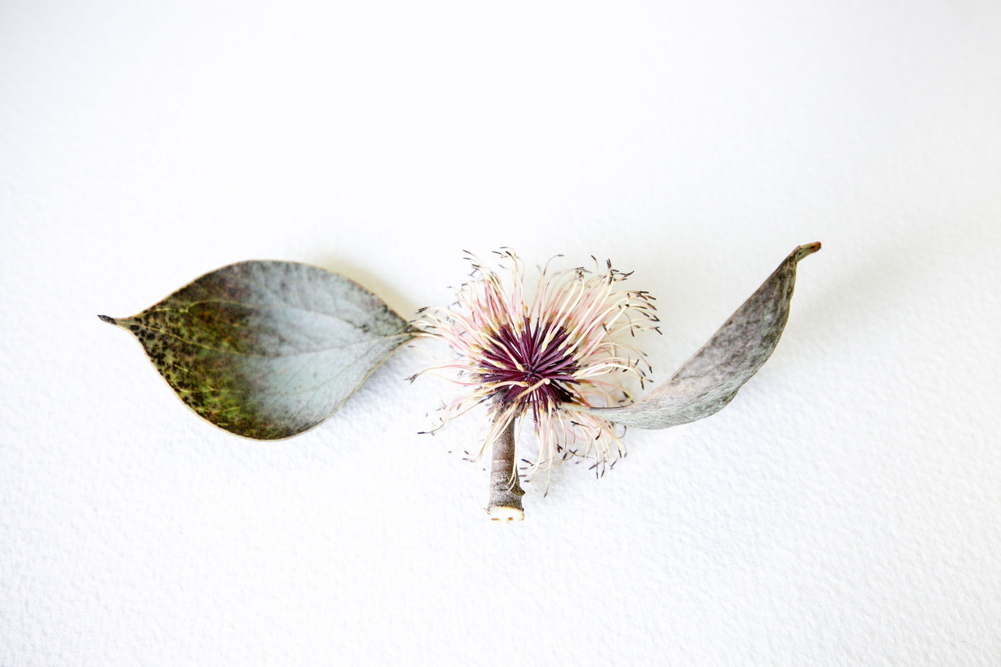 Locally Crafted Greeting Card